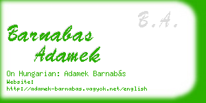 barnabas adamek business card