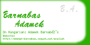 barnabas adamek business card